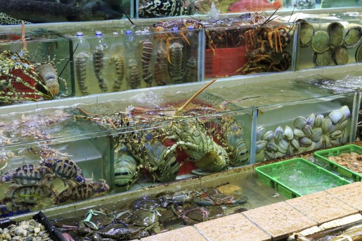 Cách Kinh Doanh Hải Sản Tươi Sống Hiệu Quả Từ A Đến Z