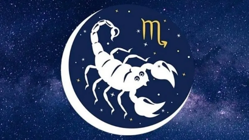 Giao diện biểu đồ nến Nhật minh họa các cặp tiền tệ trong thị trường ngoại hối