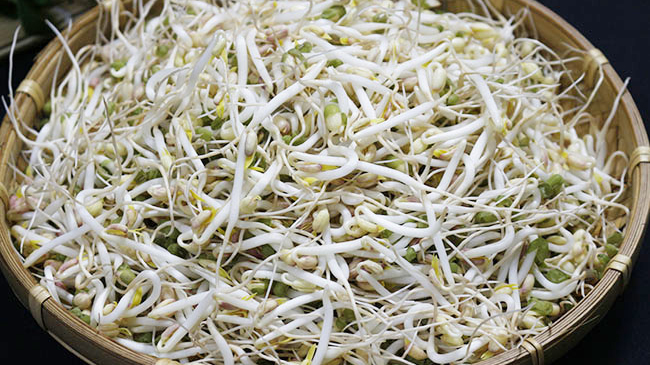 Cách Làm Giá Đỗ Kinh Doanh Hiệu Quả Nhất Ngay Tại Nhà Cách Làm Giá Đỗ Kinh Doanh Hiệu Quả Nhất Ngay Tại Nhà