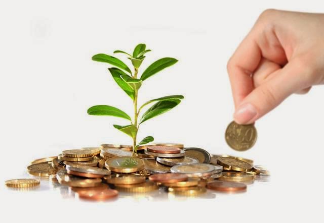 Cách Kinh Doanh Mật Ong Hiệu Quả Từ A Đến Z Chi Tiết