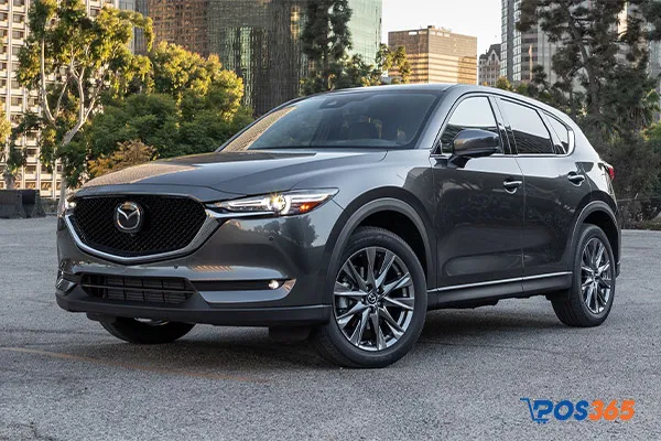 Cách Kinh Doanh Xe Dịch Vụ Hiệu Quả, Tối Ưu Lợi Nhuận Bền Vững Mẫu mã đẹp, sang trọng