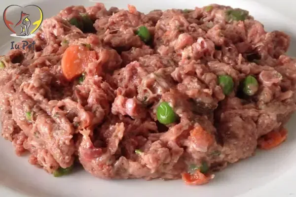 Chó Poodle Ăn Cơm: Thực phẩm nên tránh