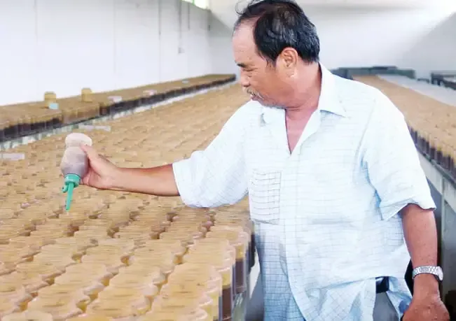 Khám Phá Trang Trại Nuôi Cá Bảy Màu: Tiềm Năng Và Cơ Hội